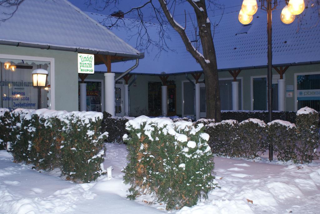 Tinodi Fogado Bed & Breakfast Sarvar Exterior photo