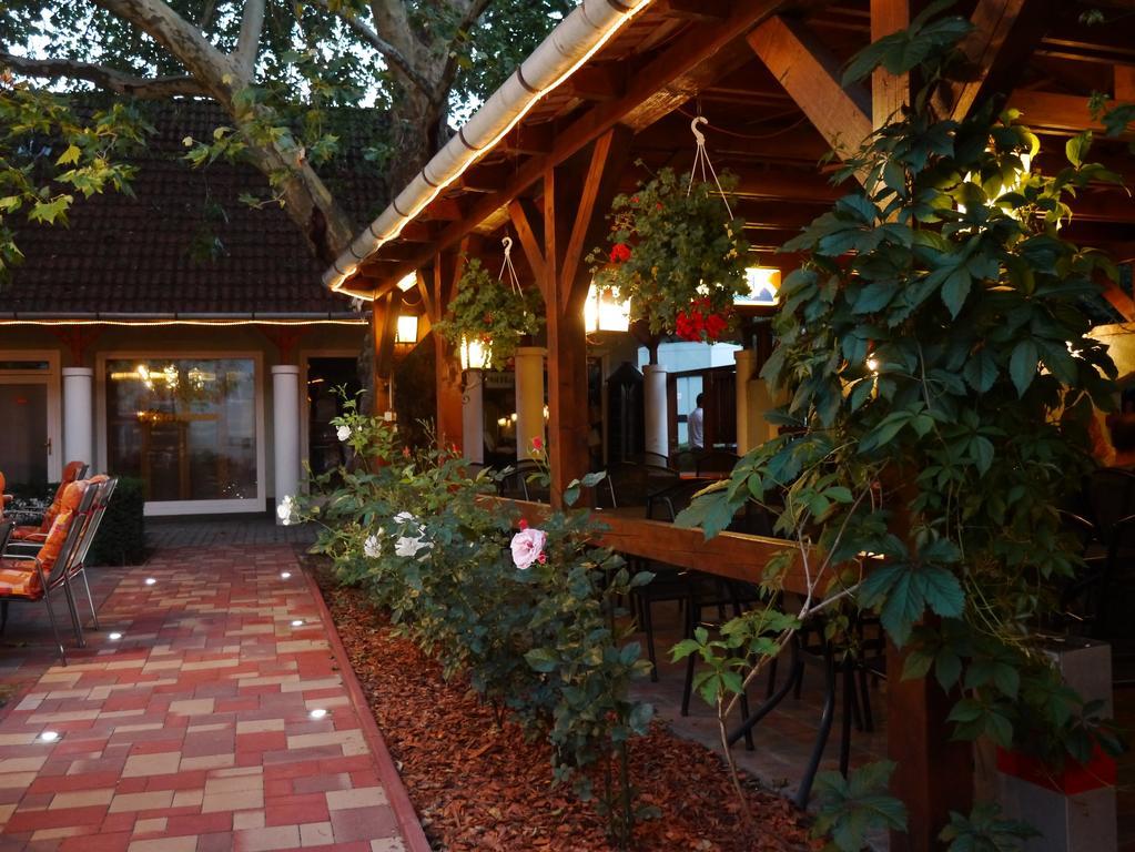 Tinodi Fogado Bed & Breakfast Sarvar Exterior photo